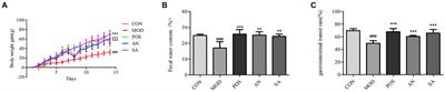 Metabolomics and gut microbiota analysis reveal the differential efficacy of areca nut and charred areca nut in treating constipation